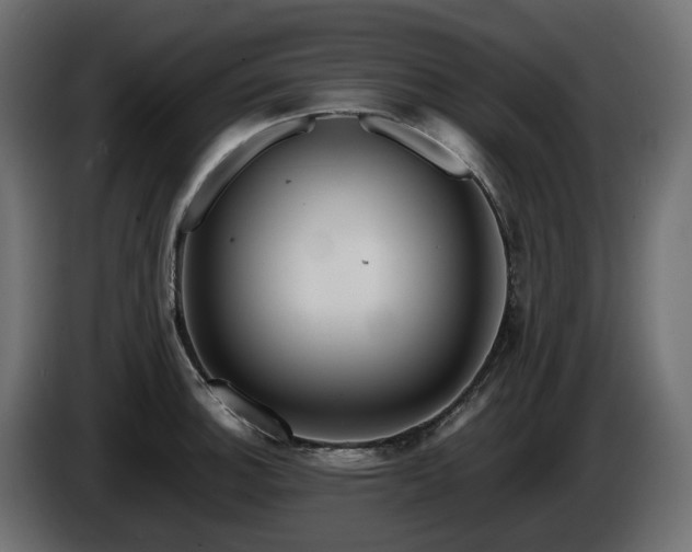 X0000085841140200703231436