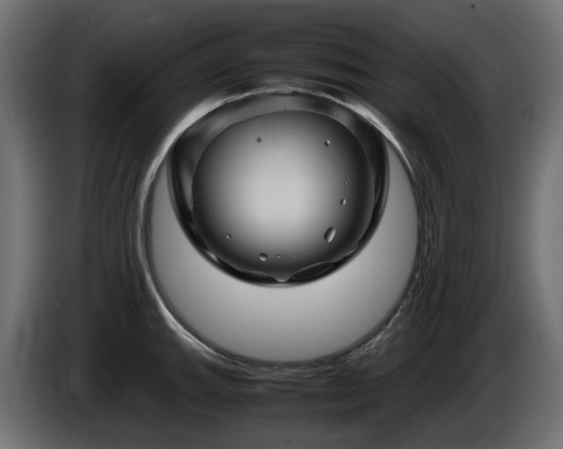 X0000085841143200703231436