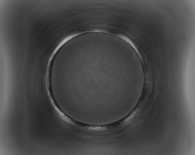 X0000085841147200703231437
