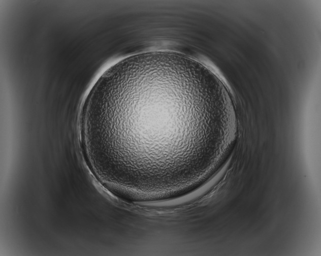 X0000085841148200703231437
