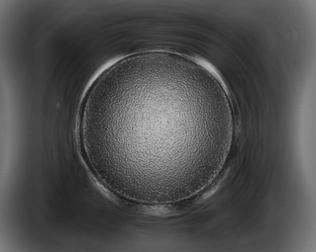 X0000085841149200703231437