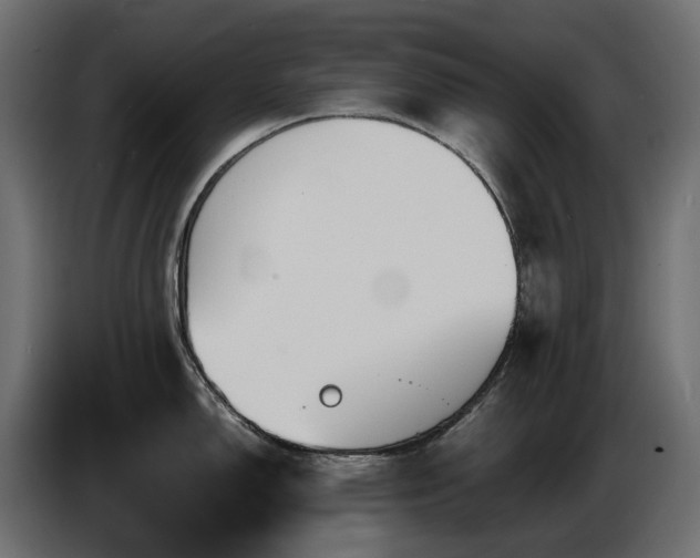 X0000085841150200703231437