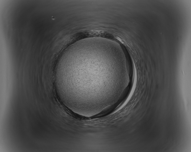 X0000085841153200703231436