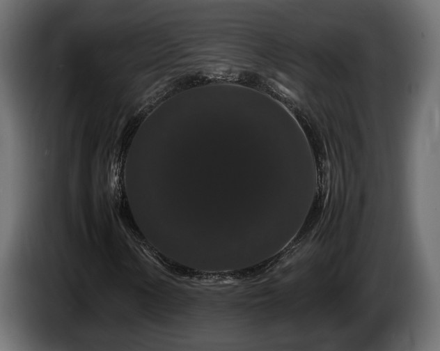 X0000085841154200703231436