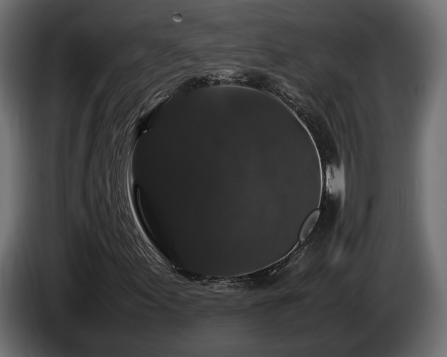 X0000085841155200703231436