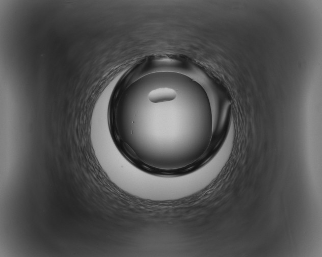 X0000085841157200703231436