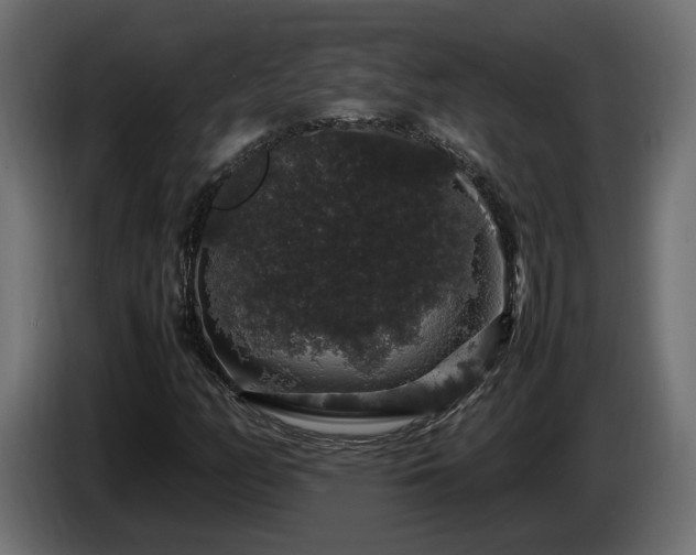 X0000085841158200703231436