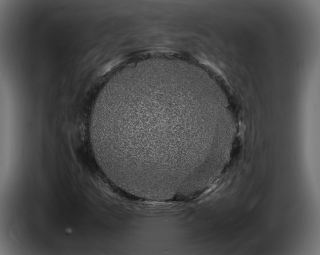X0000085841159200703231436