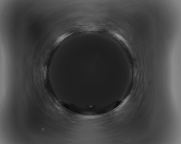X0000085841161200703231436