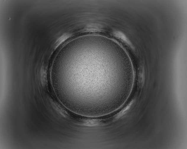 X0000085841162200703231436
