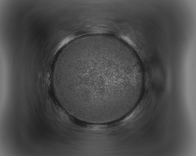 X0000085841163200703231436