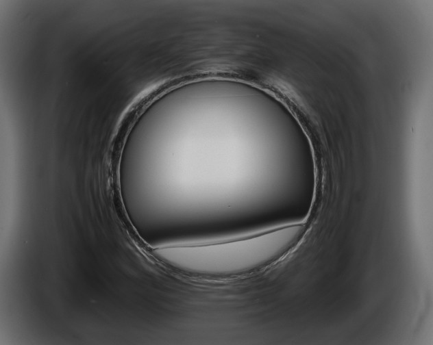 X0000085841164200703231436