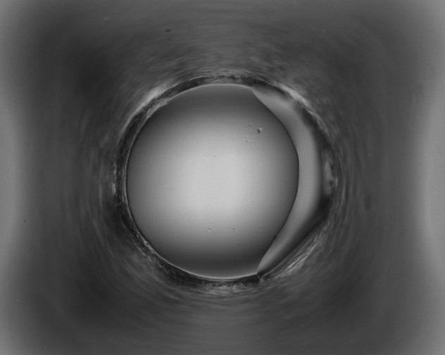 X0000085841165200703231436