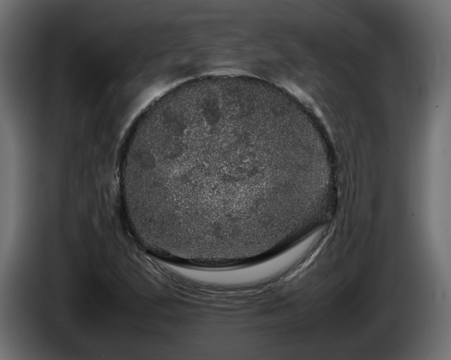 X0000085841167200703231436