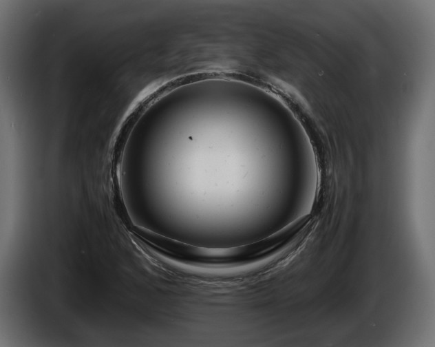 X0000085841168200703231436