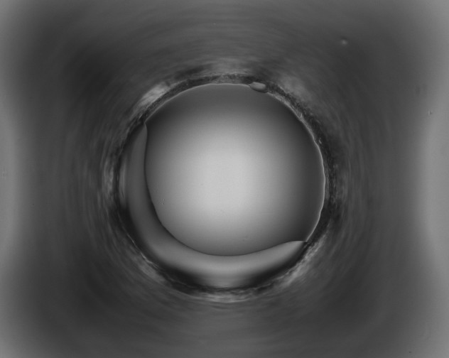 X0000085841169200703231436
