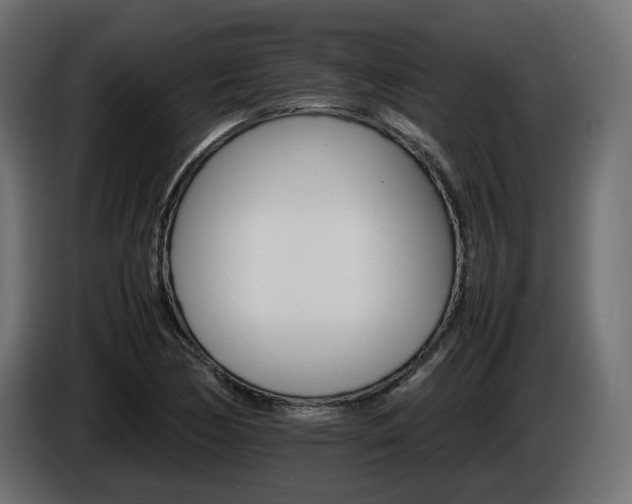 X0000085841170200703231436