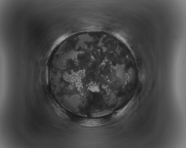 X0000085841171200703231436