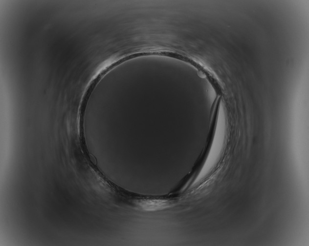 X0000085841173200703231436