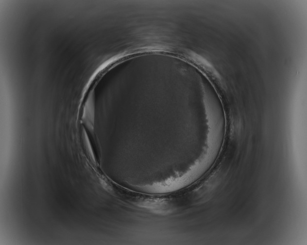 X0000085841174200703231436