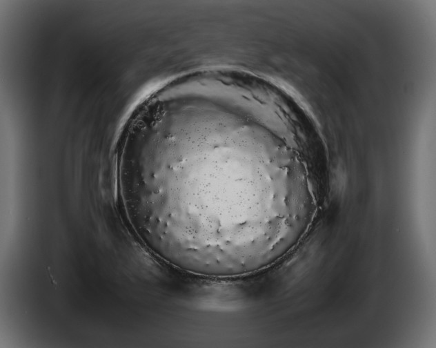 X0000085841175200703231436