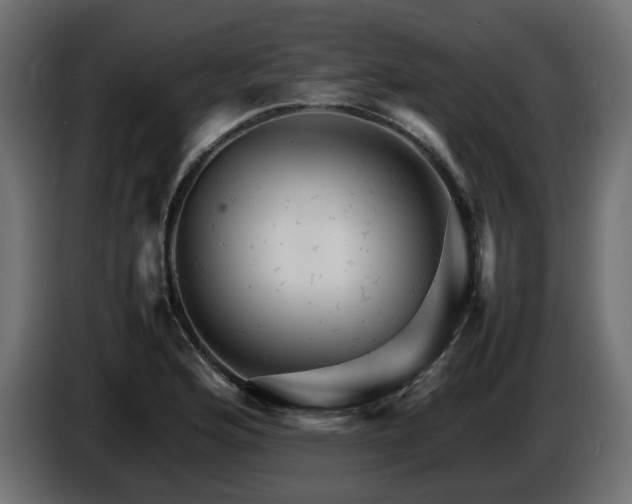 X0000085841176200703231436