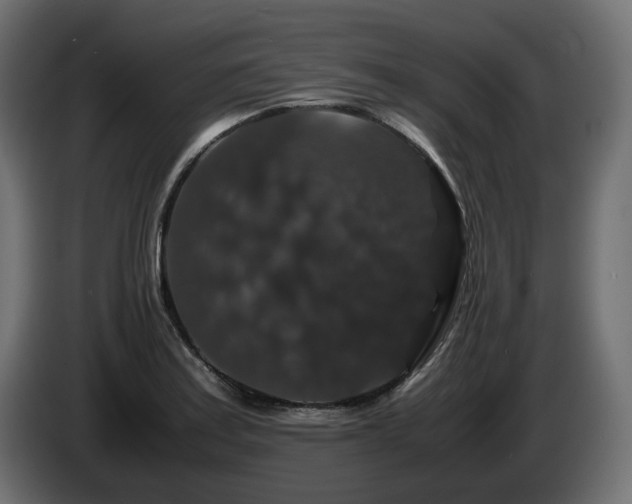 X0000085841179200703231436