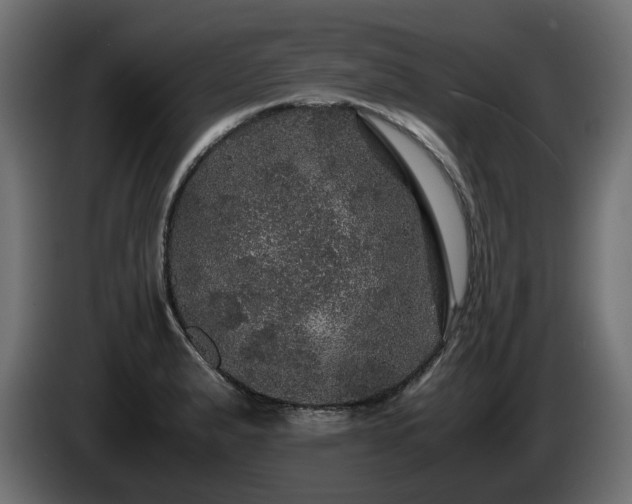 X0000085841183200703231436