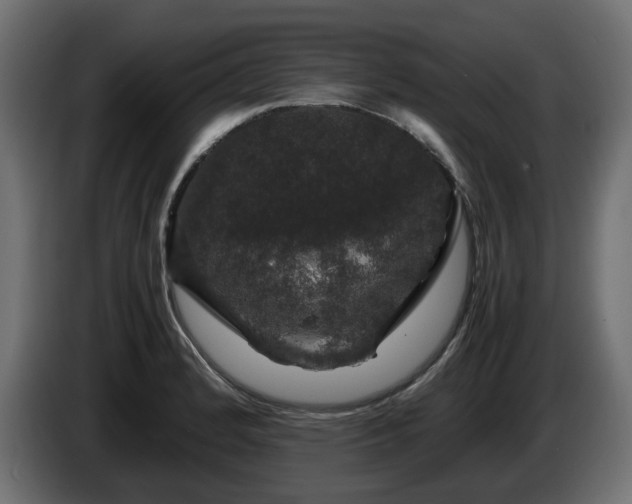 X0000085841184200703231436