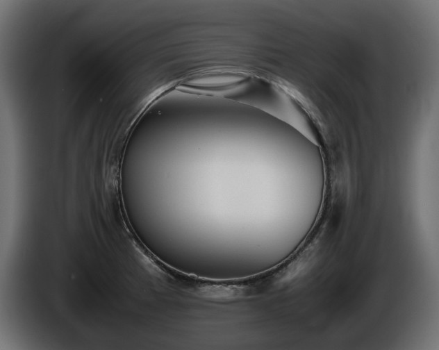 X0000085841185200703231435