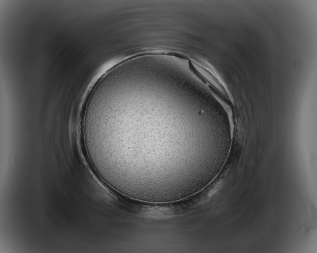 X0000085841187200703231435