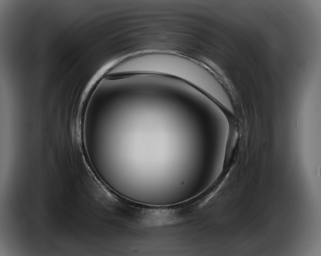 X0000085841188200703231435