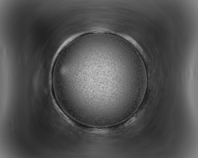 X0000085841191200703231435