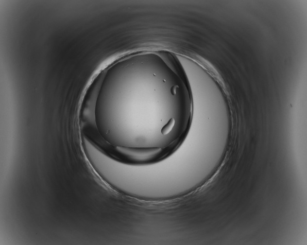 X0000085841192200703231435