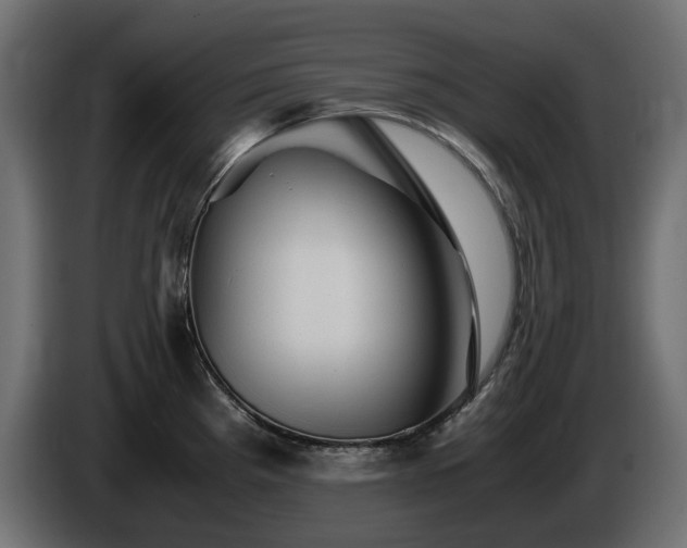 X0000085841193200703231435