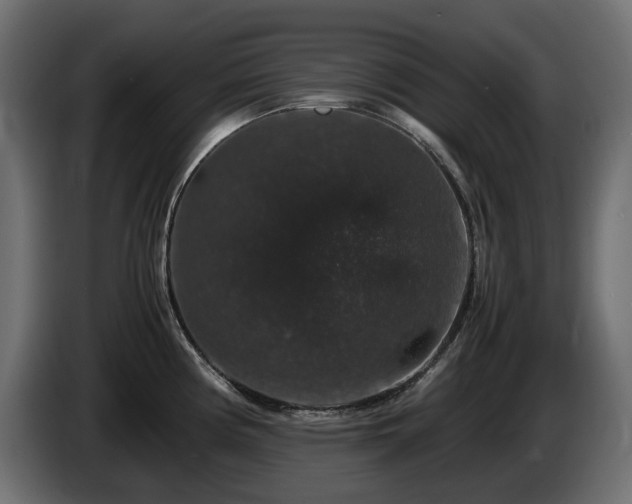 X0000085841194200703231435
