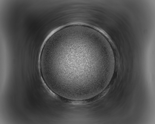 X0000085841199200703231435