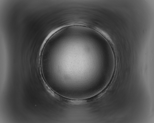 X0000085841200200703231435