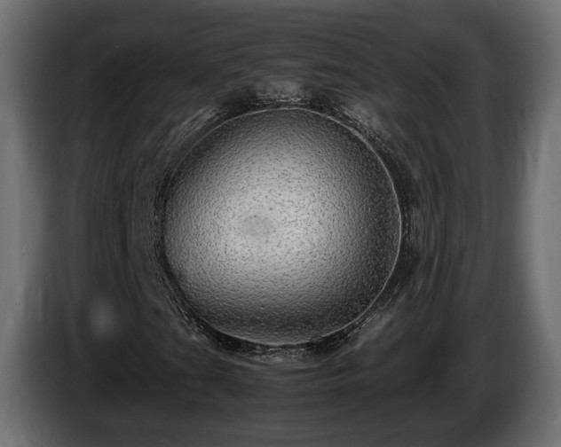 X0000085841201200703231435