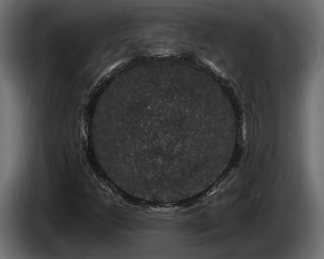 X0000085841206200703231435