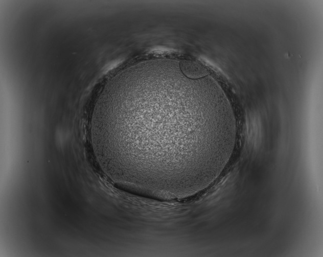 X0000085841207200703231435