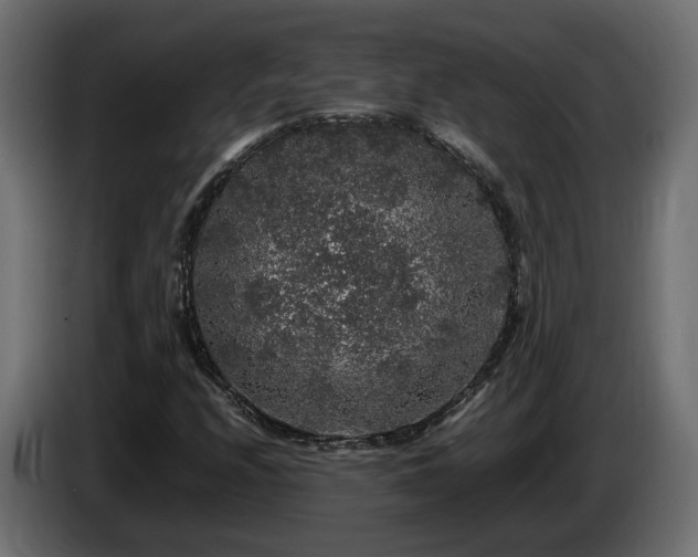 X0000085841208200703231435