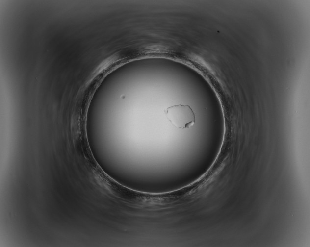 X0000085841211200703231435