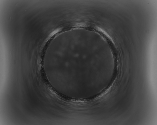 X0000085841213200703231435
