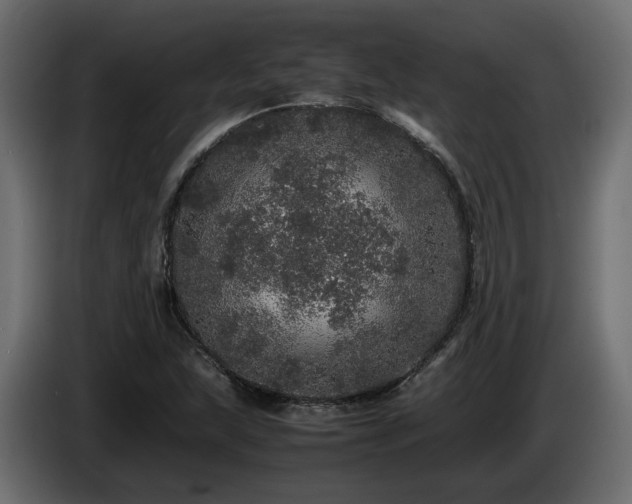 X0000085841215200703231435