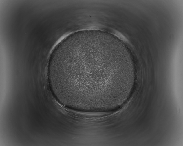 X0000085841216200703231435