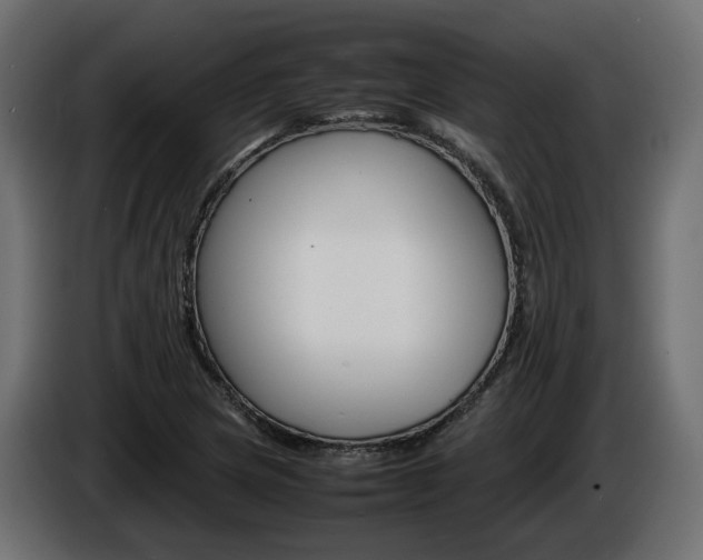 X0000085841217200703231435
