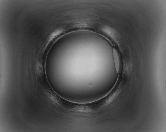 X0000085841218200703231435