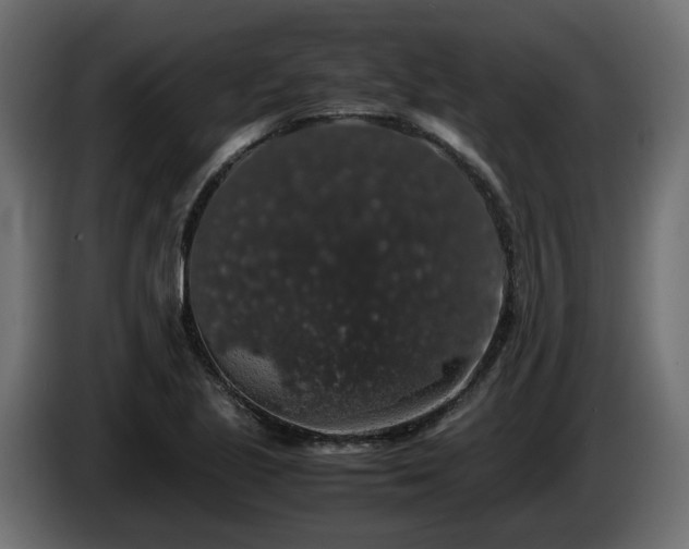 X0000085841221200703231435