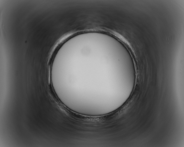 X0000085841223200703231435